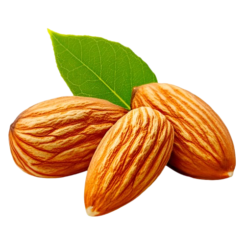 0e33f8e0 dd20 4561 93d1 f03b8e3b4c3c removebg preview